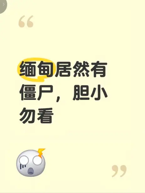 缅甸僵尸出土事件高清完整版在线观看-揭秘缅北神秘事件真相-无删减免费播放《缅甸僵尸出土事件》