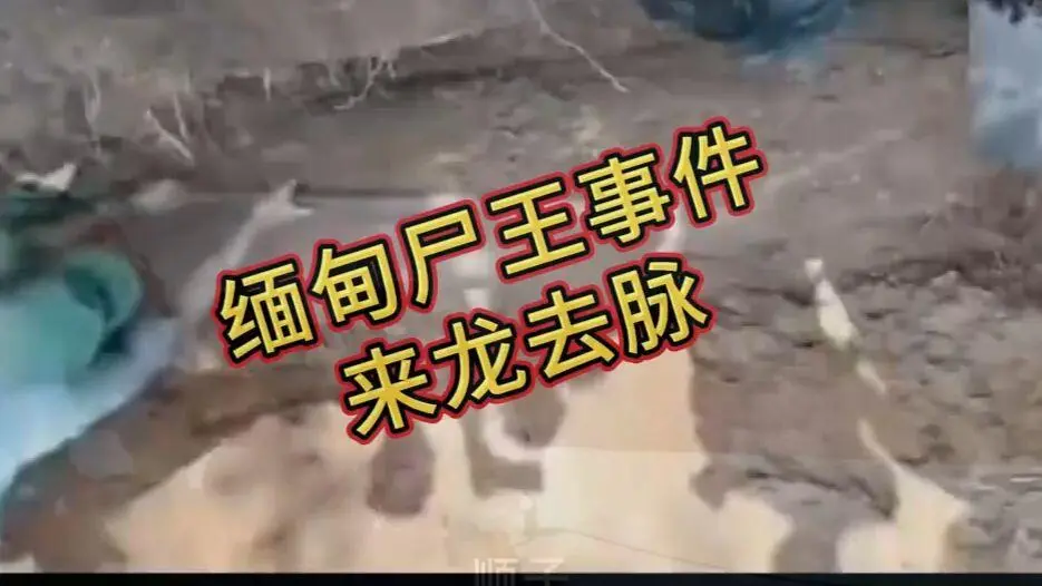 缅甸僵尸出土事件视频在线观看免费播放 - 爆火完整版资源在线观看无删减全程录像